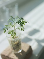 復縁したいけど振られるのが怖い